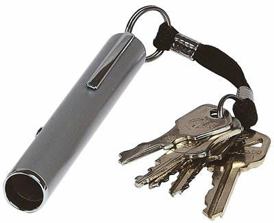 Electronic Pocket Whistle